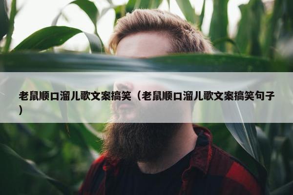 老鼠顺口溜儿歌文案搞笑（老鼠顺口溜儿歌文案搞笑句子）