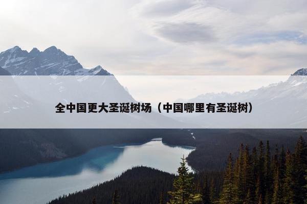 全中国更大圣诞树场（中国哪里有圣诞树）