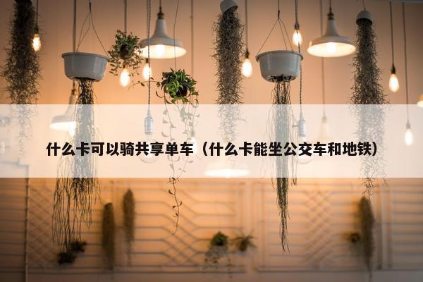 什么卡可以骑共享单车（什么卡能坐公交车和地铁）