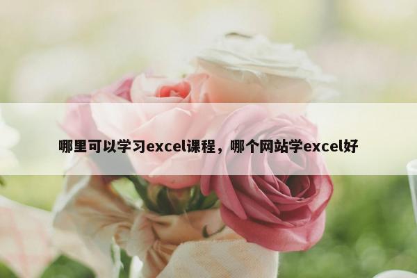 哪里可以学习excel课程，哪个网站学excel好