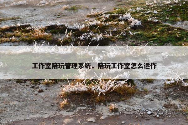 工作室陪玩管理系统，陪玩工作室怎么运作