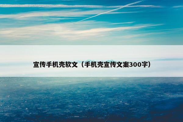 宣传手机壳软文（手机壳宣传文案300字）
