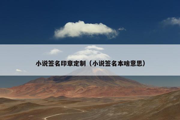 小说签名印章定制（小说签名本啥意思）