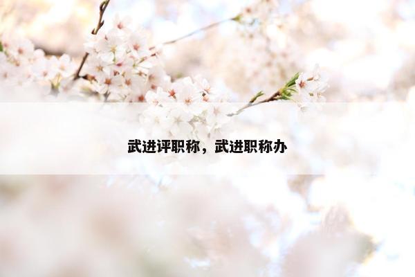 武进评职称，武进职称办