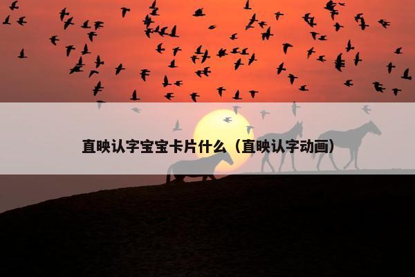 直映认字宝宝卡片什么（直映认字动画）
