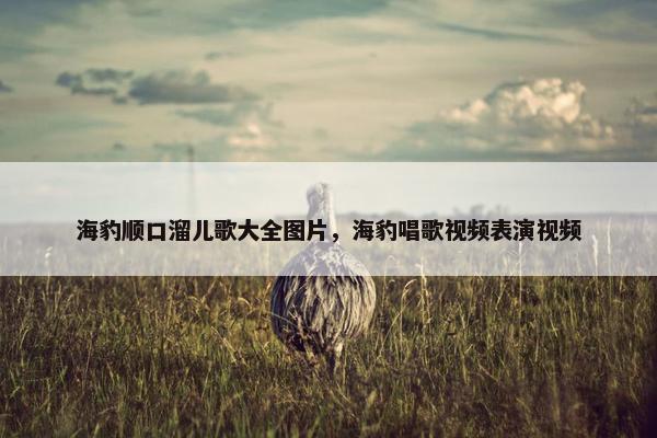 海豹顺口溜儿歌大全图片，海豹唱歌视频表演视频