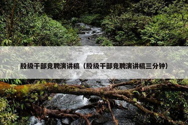 股级干部竞聘演讲稿（股级干部竞聘演讲稿三分钟）