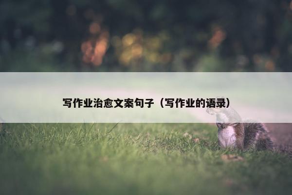 写作业治愈文案句子（写作业的语录）