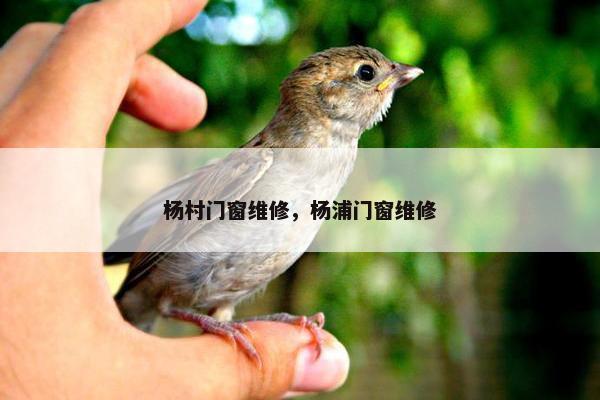 杨村门窗维修，杨浦门窗维修