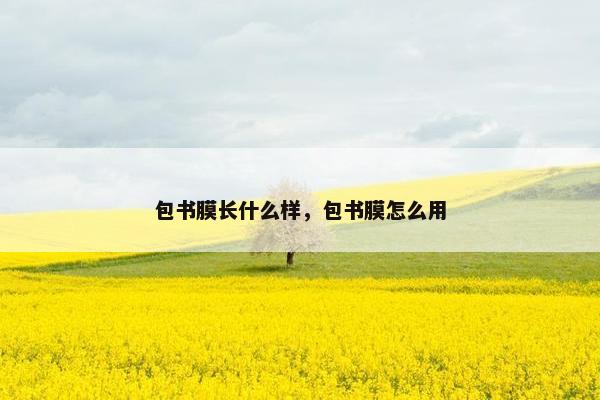包书膜长什么样，包书膜怎么用