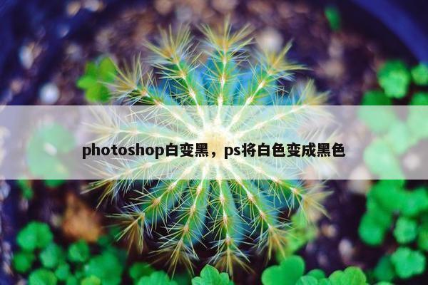 photoshop白变黑，ps将白色变成黑色