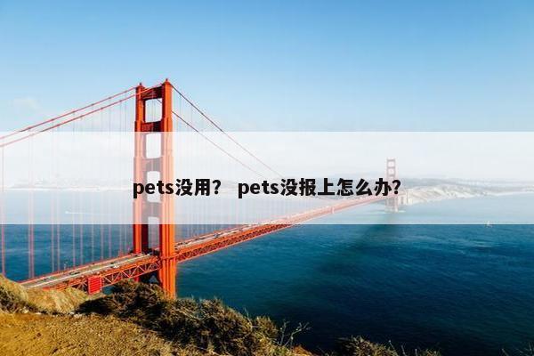 pets没用？ pets没报上怎么办？