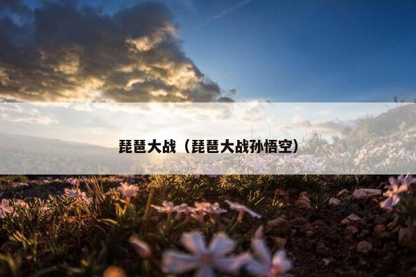 琵琶大战（琵琶大战孙悟空）