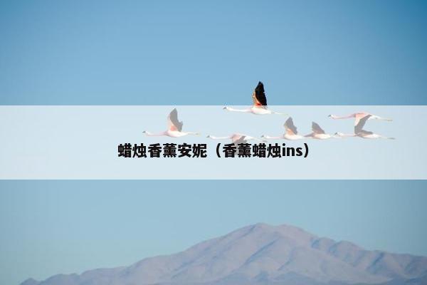 蜡烛香薰安妮(香薰蜡烛ins) 蜡烛香薰安妮(香薰蜡烛ins)