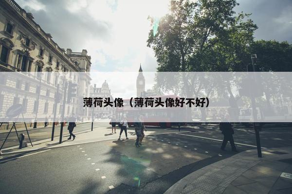 薄荷头像（薄荷头像好不好）