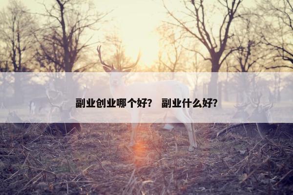 副业创业哪个好？ 副业什么好？