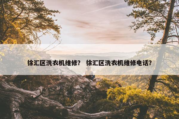 徐汇区洗衣机维修？ 徐汇区洗衣机维修电话？