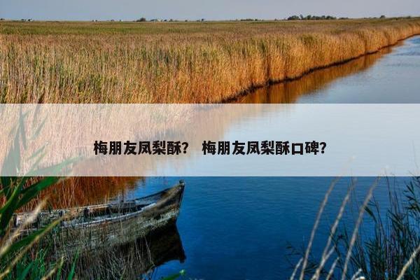梅朋友凤梨酥？ 梅朋友凤梨酥口碑？