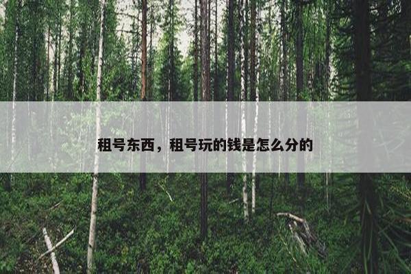 租号东西，租号玩的钱是怎么分的