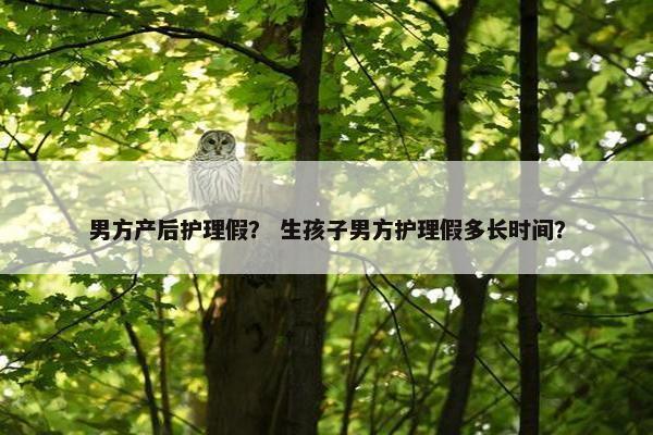 男方产后护理假？ 生孩子男方护理假多长时间？