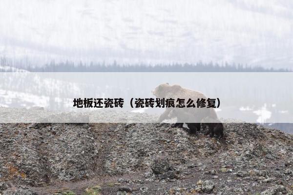地板还瓷砖（瓷砖划痕怎么修复）