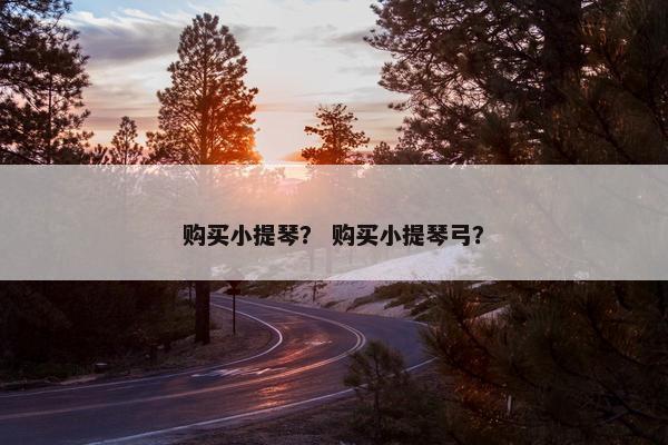 购买小提琴？ 购买小提琴弓？