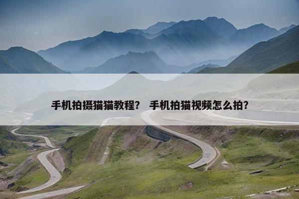 手机拍摄猫猫教程？ 手机拍猫视频怎么拍？