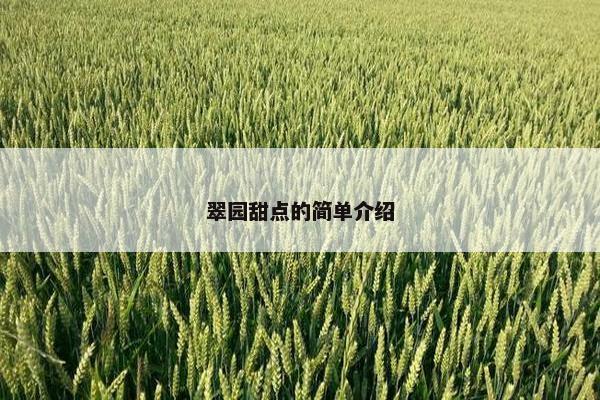翠园甜点的简单介绍