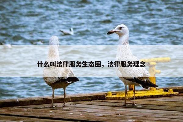 什么叫法律服务生态圈，法律服务理念
