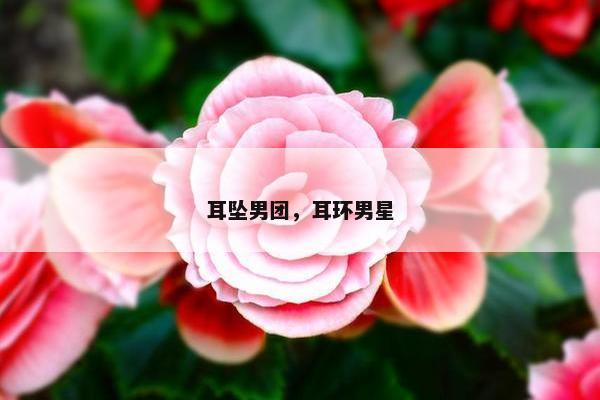 耳坠男团，耳环男星