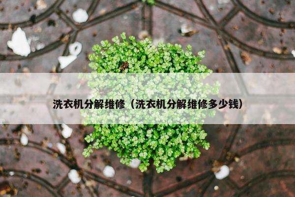 洗衣机分解维修（洗衣机分解维修多少钱）