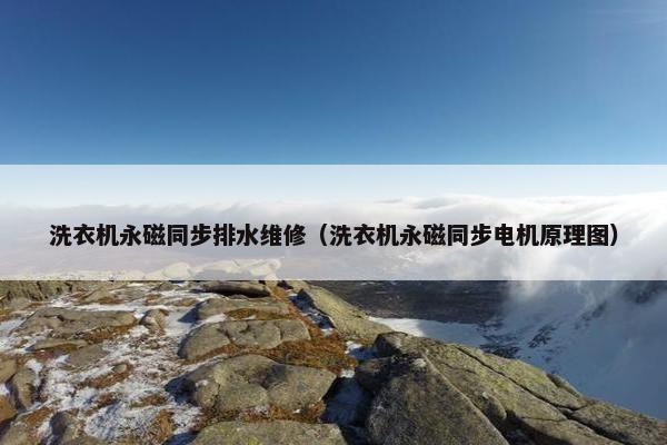 洗衣机永磁同步排水维修（洗衣机永磁同步电机原理图）