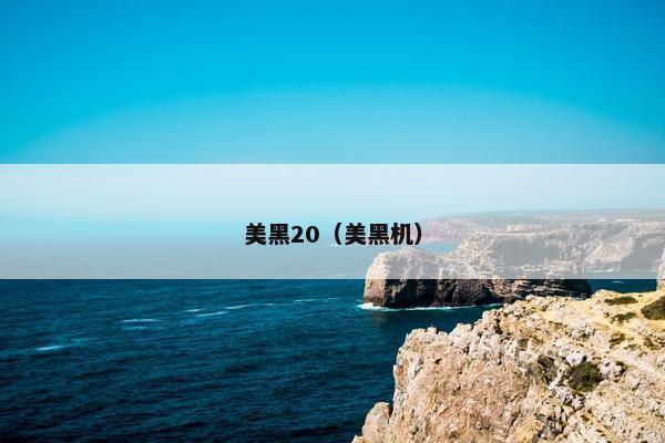 美黑20（美黑机）