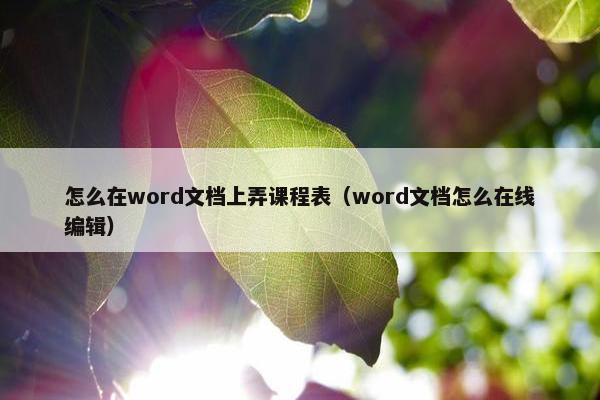 怎么在word文档上弄课程表（word文档怎么在线编辑）