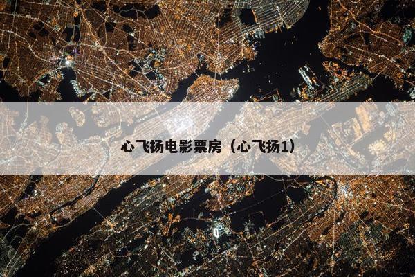 心飞扬电影票房（心飞扬1）