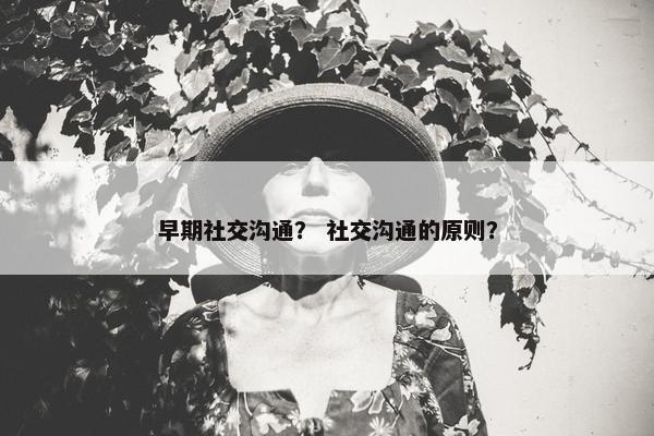 早期社交沟通？ 社交沟通的原则？