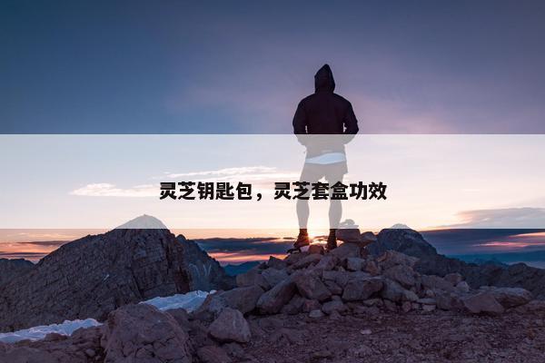灵芝钥匙包，灵芝套盒功效