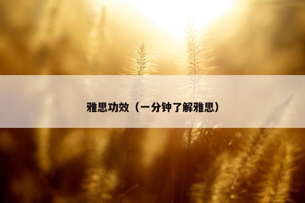雅思功效（一分钟了解雅思）