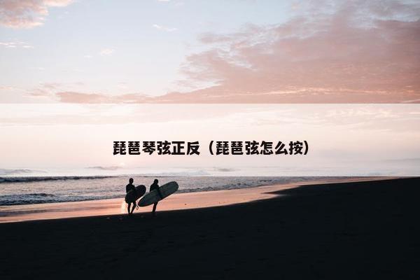 琵琶琴弦正反（琵琶弦怎么按）