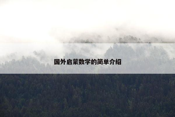 国外启蒙数学的简单介绍