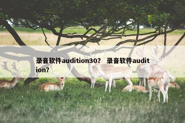 录音软件audition30？ 录音软件audition？