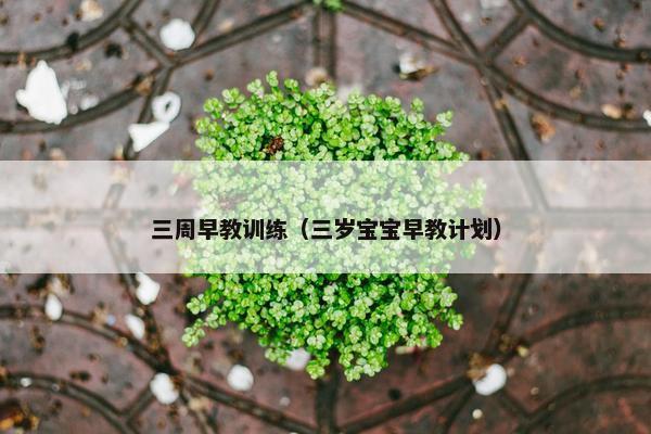 三周早教训练（三岁宝宝早教计划）