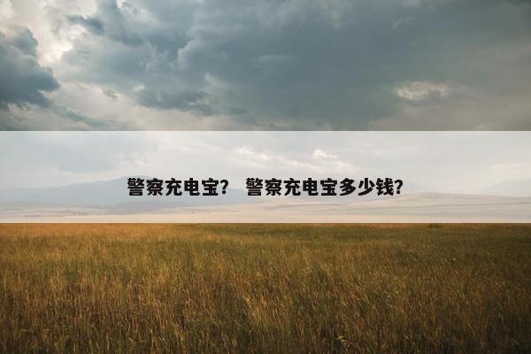 警察充电宝？ 警察充电宝多少钱？