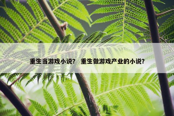 重生当游戏小说？ 重生做游戏产业的小说？