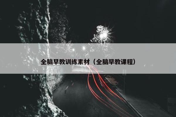 全脑早教训练素材（全脑早教课程）