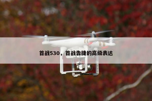 首战530，首战告捷的高级表达