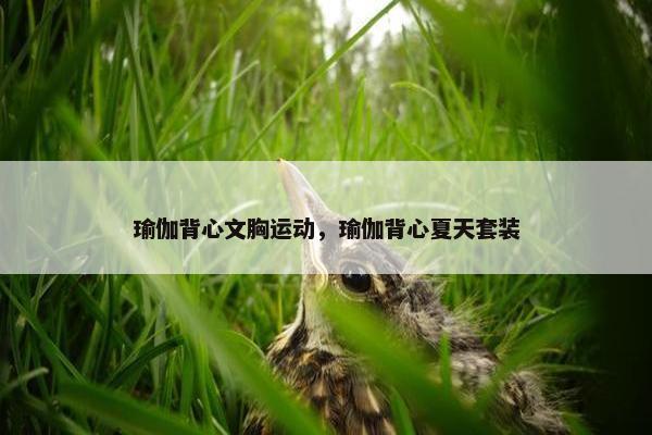 瑜伽背心文胸运动，瑜伽背心夏天套装