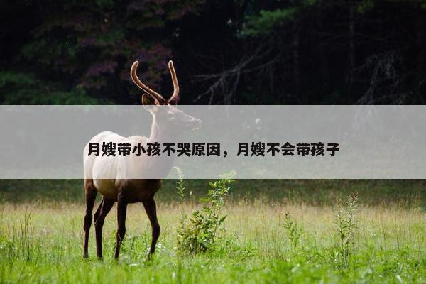 月嫂带小孩不哭原因，月嫂不会带孩子
