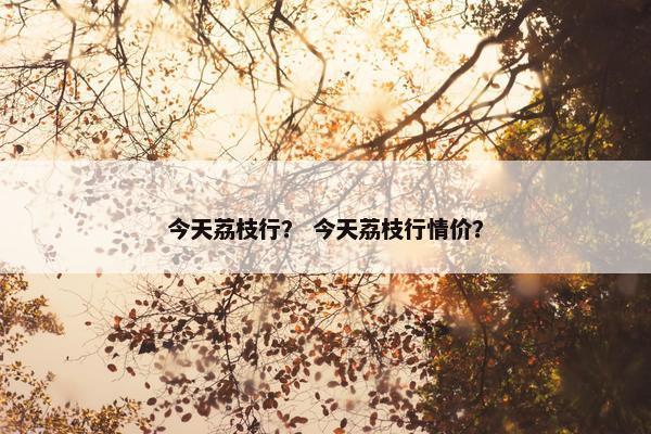 今天荔枝行？ 今天荔枝行情价？