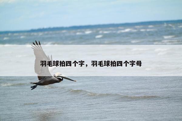 羽毛球拍四个字，羽毛球拍四个字母